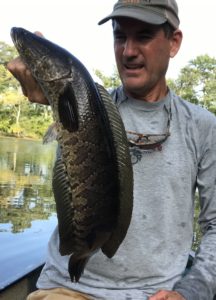 Delaware river carp question