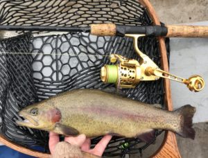 What Can the IRT200 Do for You? – FishTek